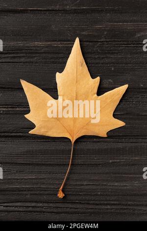 Dry yellow leaf on a structural wooden background top view. Autumn leaf on a dark background. Dry sycamore leaf. Autumn composition. Stock Photo