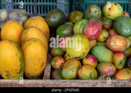 La Pavona, Costa Rica - Locally-grown papayas and mangos on sale at a fruit stand. Stock Photo