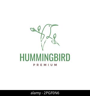 beauty hummingbird long beak perched tree feminine line art minimal logo design vector Stock Vector