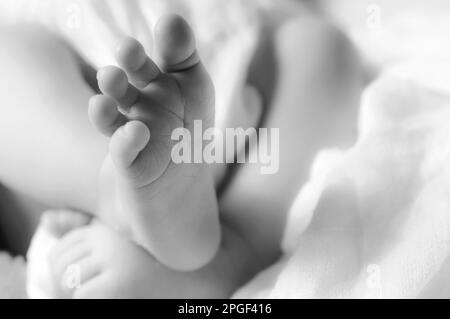 A grayscale shot of an newborn's feet resting on a white bedspread Stock Photo