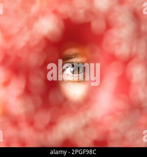 Peeping. A woman's brown eye looks into the camera through an oval hole Stock Photo