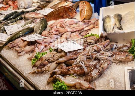 Cuttlefish and other fresh fish displayed at a Fish Market in Venice, Italy. Stock Photo