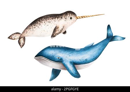 Watercolor narwhal with long tusk and blue whale isolated on white background. Hand painting realistic Arctic and Antarctic ocean mammals. For Stock Photo