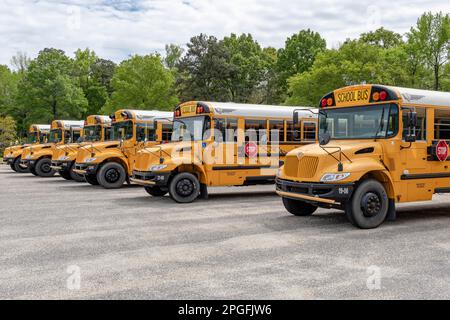 Line of empty yellow school buses parked waiting to transport children to school in Montgomery Alabama, USA. Stock Photo