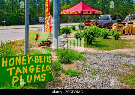 Boiled peanuts and assorted fruits and vegetables are sold at a roadside stand on Mississippi Highway 63, March 20, 2023, in Moss Point, Mississippi. Stock Photo