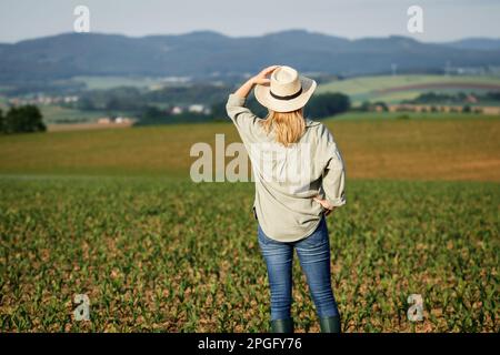 Woman with straw hat standing in agricultural field. Satisfied female farmer is looking at corn field in cultivated land Stock Photo