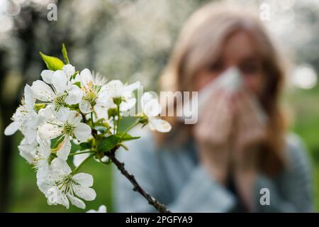 Woman sneezing and blowing nose in blooming park. Spring pollen allergy and hay fever. Selective focus on blossom Stock Photo