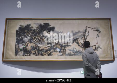 HANGZHOU, CHINA - MARCHA 23, 2023 - Visitors view Pan Tianshou's ...