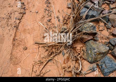 Stones and a dried bush on dried red clay after a landslide in the ...