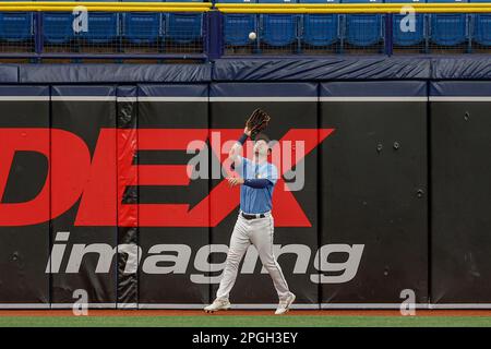 March 22, 2023; St. Petersburg, FL USA; Philadelphia Phillies infielder Scott  Kingery (4) doubles during an MLB spring training game against the Tampa  Stock Photo - Alamy