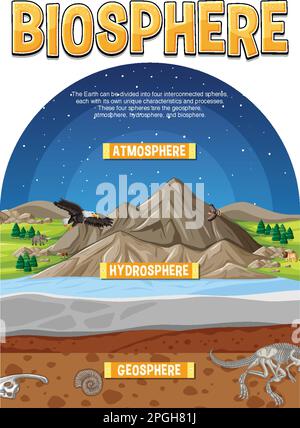 Biosphere Ecology Infographic for Learning illustration Stock Vector