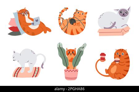 Adorable cats. Domestic furry pets having different activities. Animal in glasses working with laptop Stock Vector
