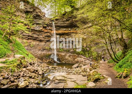 9 May 2022: Wensleydale, North Yorkshire, UK - Hardraw Force, England's highest single drop waterfall, in spring. Stock Photo