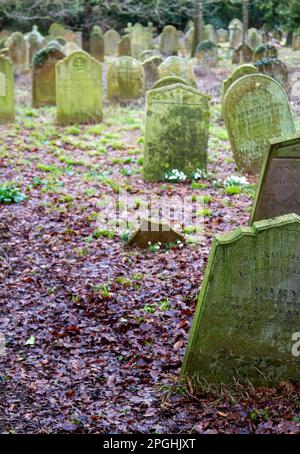 Aging Victorian gravestones in a public Suffolk cemetery Stock Photo