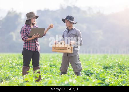 Farmers survey growth and quality using digital smart tablets to record data. Concept : Research and study problems in agriculture. Agronomist.Smart F Stock Photo