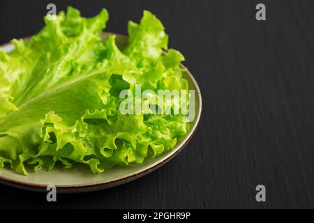 Raw Green Leaf Lettuce on a Plate, low angle view. Close-up. Stock Photo