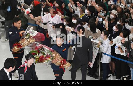 The stars came to 'Field of Dreams' of Japan skipper Kuriyama