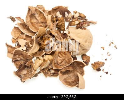 Walnut shell on white background Stock Photo