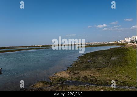 Faro viewing the Ria Formosa National Park Stock Photo