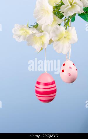 Delightful spring scene of pink Easter eggs suspended from a blooming branch set against a soothing blue background Stock Photo