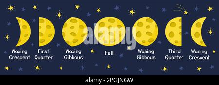 Moon phases poster in cartoon style. Lunar cycle wallpaper from new to full moon Stock Vector