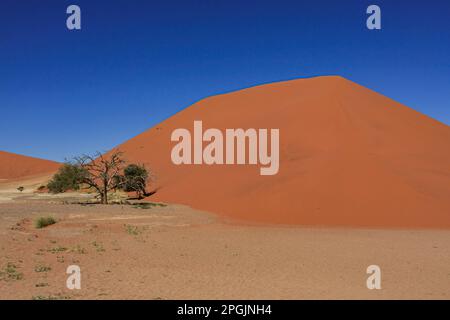 Sand Dunes of the Sossusvlei in Namibia Stock Photo