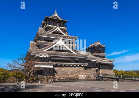 Tenshu of Kumamoto castle in kumamoto city, kyushu, japan Stock Photo