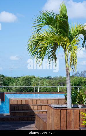 Rooftop relaxation with an open-air pool surrounded by palm trees and panoramic views of the forest in Mexico. Ideal place for relaxation and tanning Stock Photo