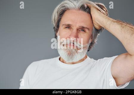 Beautiful portrait. Stylish modern senior man with gray hair and beard is indoors Stock Photo