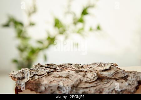 Natural tree bark podium with green leaves, copy space. Sustainable, eco-friendly lifestyle background Stock Photo