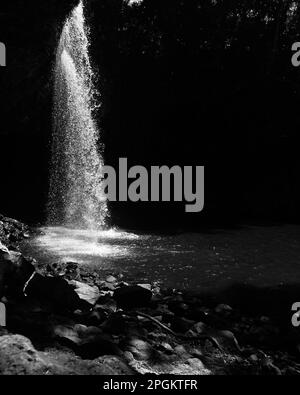 A vertical grayscale shot of a flowing splashing waterfall in aforest Stock Photo