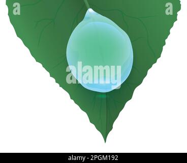 Close-up of a green leaf and a drop sliding down. Design in gradient effect on white background. Stock Vector