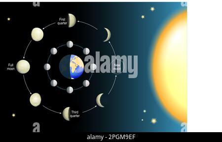 lunar phase. phases of the Moon depends on the Moon's position in orbit around the Earth and sun. Movements of the Moon. 8 Lunar Phases. Realistic Stock Vector