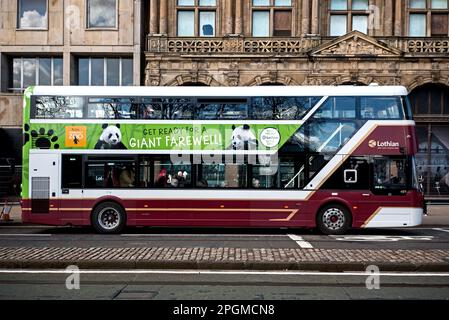 The Panda Bus, Edinburgh Zoo advert - Get Ready for a Giant Farewell - with pandas on a Lothian bus on Princes Street, Edinburgh, Scotland, UK. Stock Photo