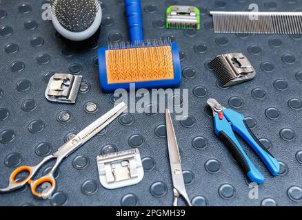 Professional pet groomer tools on table. Scissors, nail clippers and combs for animal grooming service in a vet clinic Stock Photo