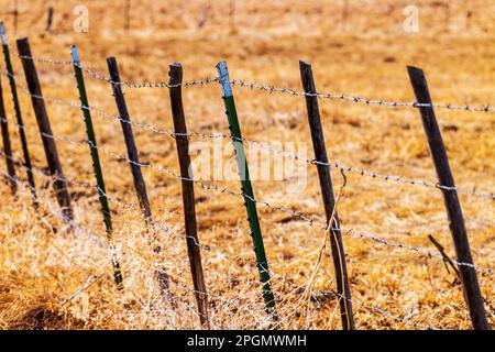 Close-up of barbed wire fence & metal fence posts; ranch in Central Colorado; USA Stock Photo