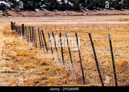 Close-up of barbed wire fence & metal fence posts; ranch in Central Colorado; USA Stock Photo
