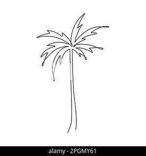 PALM TREE LINE ART. Vector palm. Tropical palm tree Continuous Linear Drawing. Single line art. Summer One Line object Stock Vector