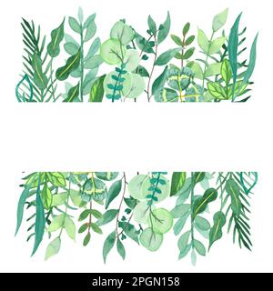 Watercolor frame of hand-drawn herbs and greens leaves for use in wedding, holiday and decorative design. Illustrations greenery isolated on white Stock Photo