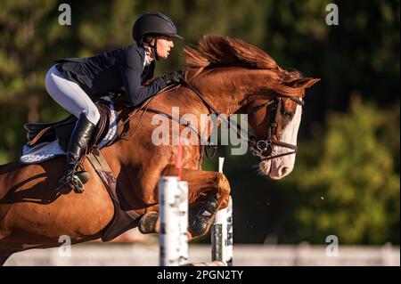 Ali Ramsay, 2022 Canadian Show Jumping Champion shown competing during the 2022 season at Caledon Equestrian Park, in Palgrave, ON. Stock Photo