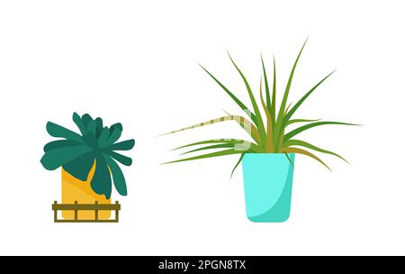 Set of house plants. Interior Scandinavian design. Design element. Vector illustration Stock Vector