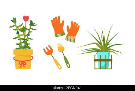 House plants and care tools. Interior Scandinavian design. Design element. Vector illustration Stock Vector
