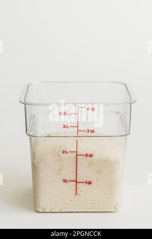 making sourdough: bread dough in clear Polycarbonate square food container with red measuring marks, dough level at 2 liter mark on white background. Stock Photo