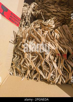 Box with shredded cardboard filler material. Eco-friendly packaging concept Stock Photo