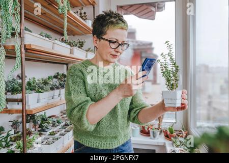 Mature woman taking photo of potted plant through smart phone at home Stock Photo