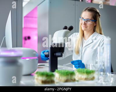 Smiling young scientist working with microscope in laboratory Stock Photo