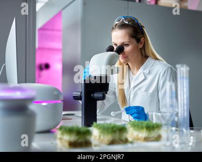 Young scientist looking through microscope in laboratory Stock Photo