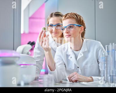 Scientists examining seeds samples in laboratory Stock Photo