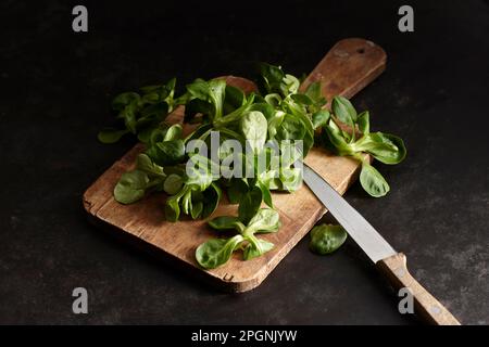 Studio shot of lamb's lettuce on cutting board Stock Photo