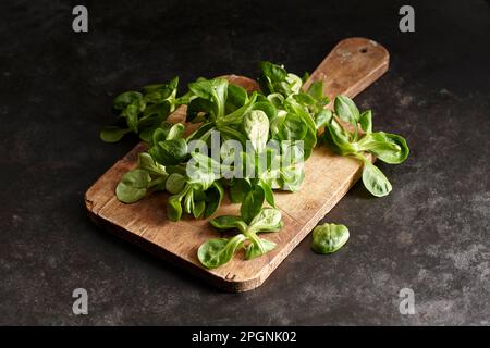 Studio shot of lamb's lettuce on cutting board Stock Photo